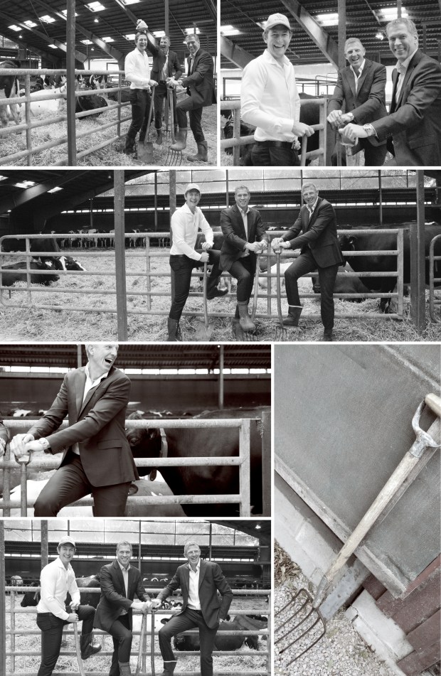 Bostad&Cos mäklare Henric, Ante och Kalle är på plats bland kossorna på Wapnö