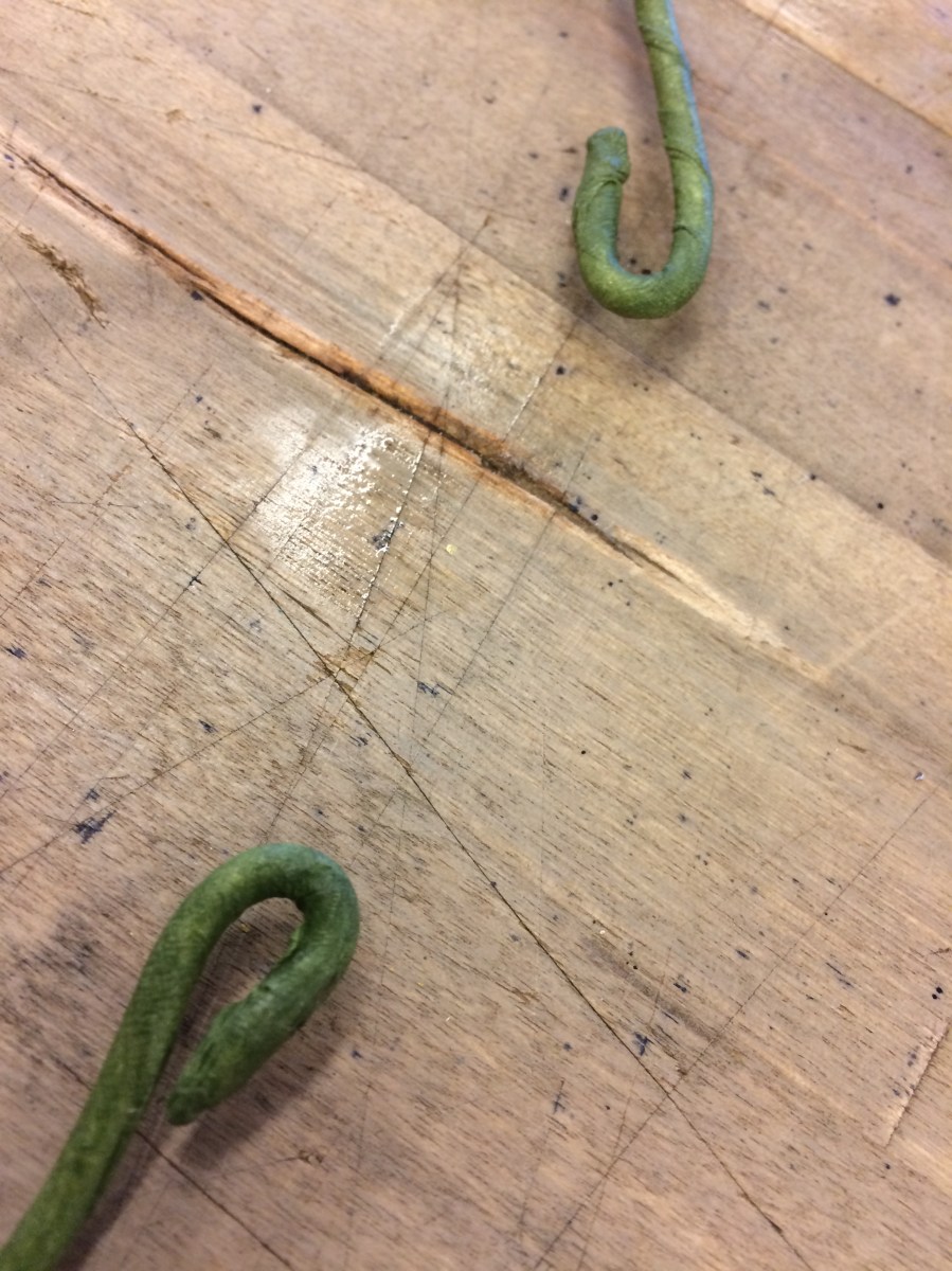 Bind din egen midsommarkrans: linda floratejp på ståltråden, vik ändarna