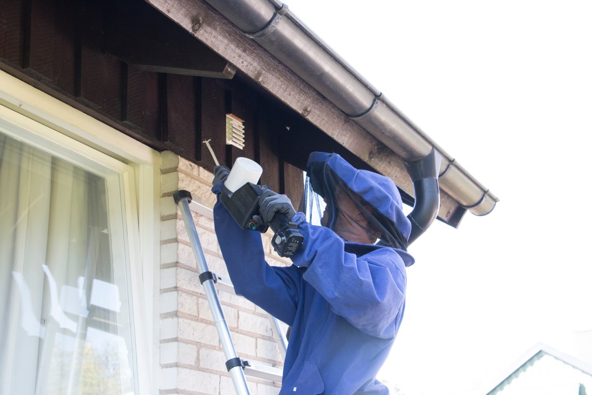Åke Sjögren på Anticimex sanerar ett getingbo. Det tar bara några minuter!