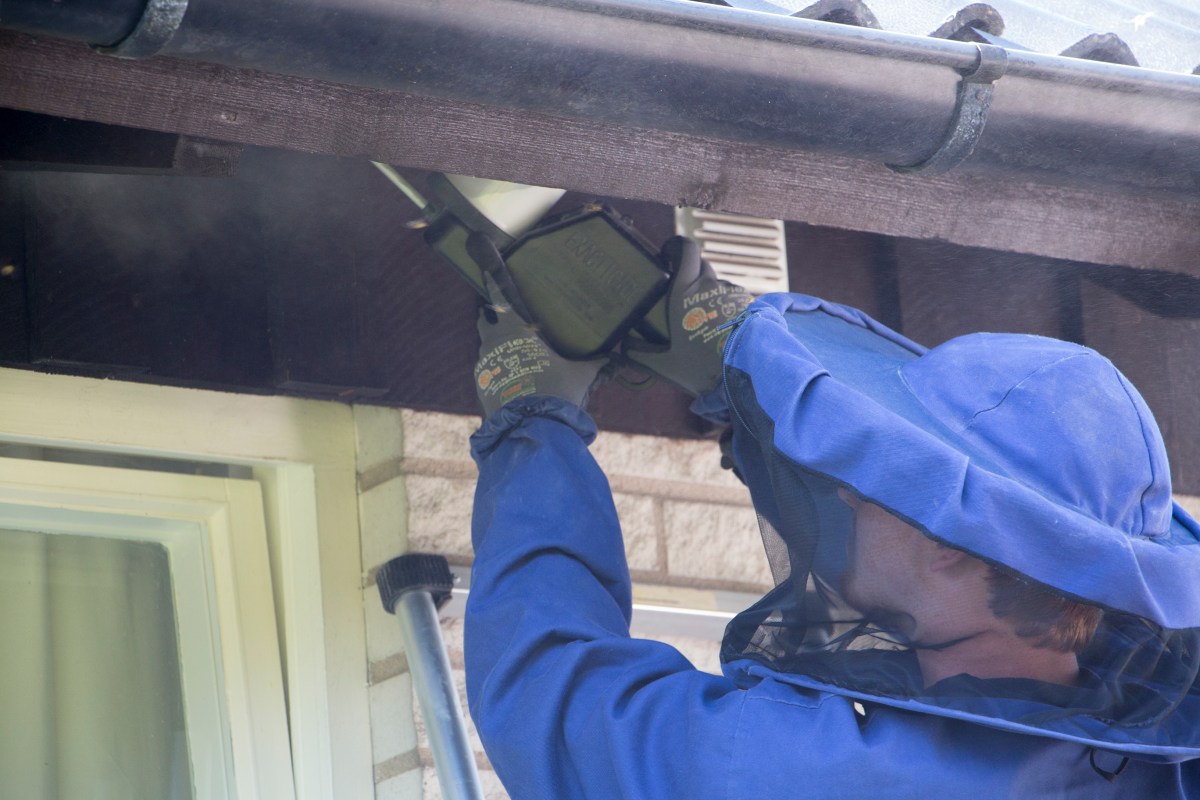 Åke Sjögren på Anticimex sanerar ett getingbo. Det tar bara några minuter!