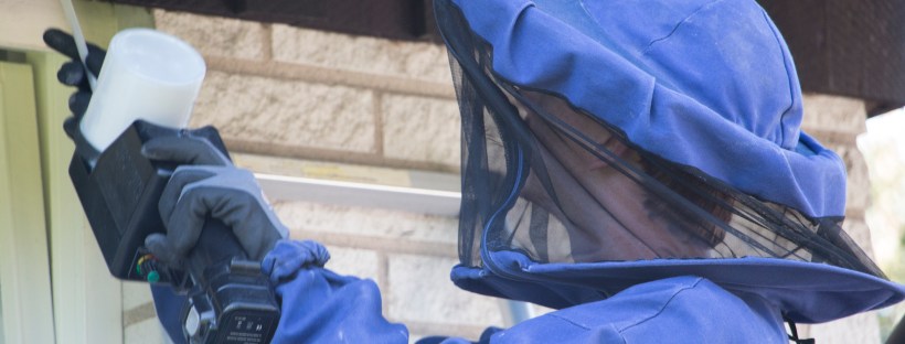 Åke Sjögren på Anticimex sanerar ett getingbo. Det tar bara några minuter!