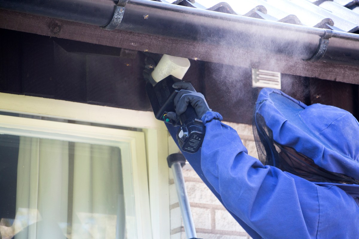 Åke Sjögren på Anticimex sanerar ett getingbo. Det tar bara några minuter!