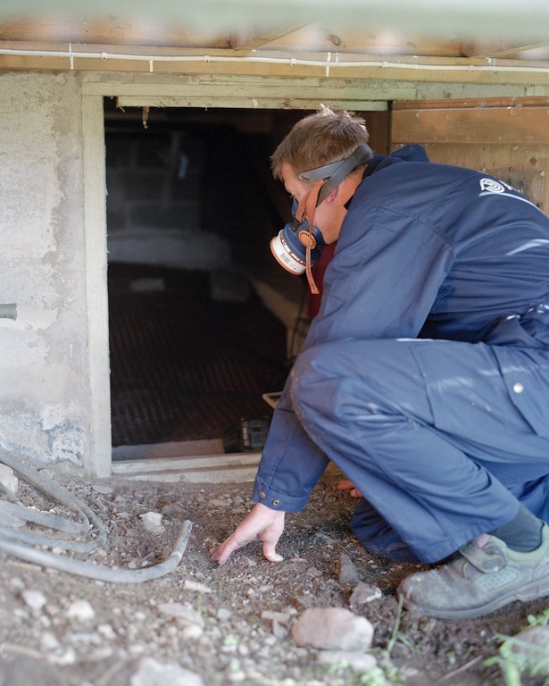 Det är viktigt att kolla alla utrymmen noga! Bild: Anticimex