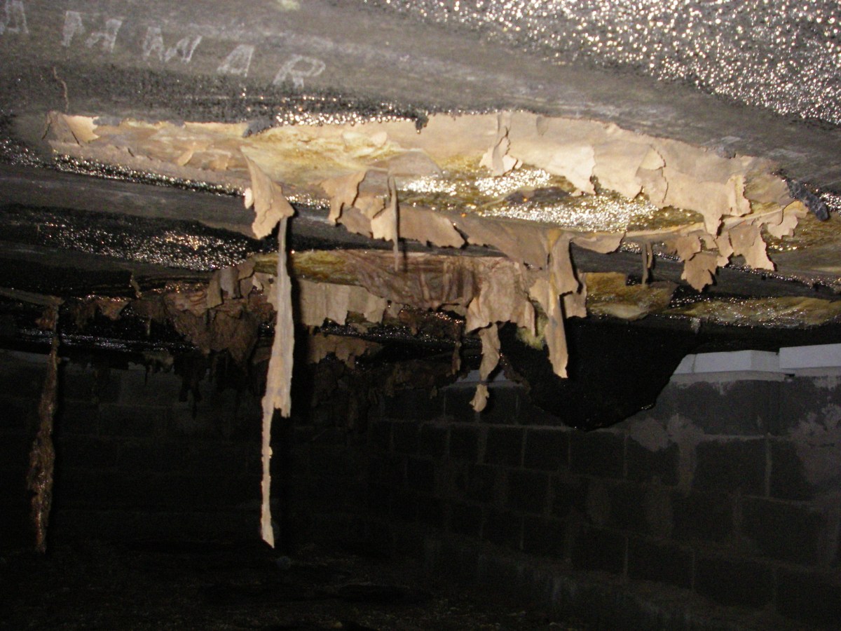 I krypgrunden kan det se ut såhär... Bild: Anticimex