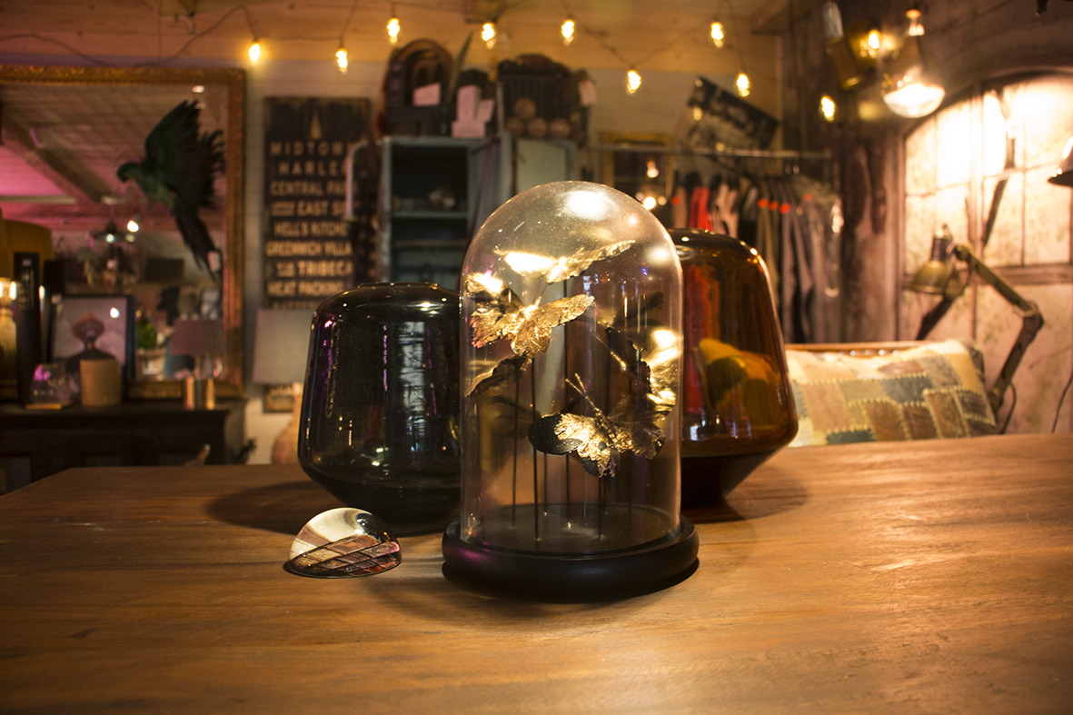 Ta en paus i kafét när du åker hit och botaniserar. Ta sen ett varv till. Det är för många intryck att ta in på en och samma gång!