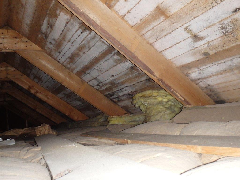 Hur ser det ut uppe på din vind? Bild: Anticimex